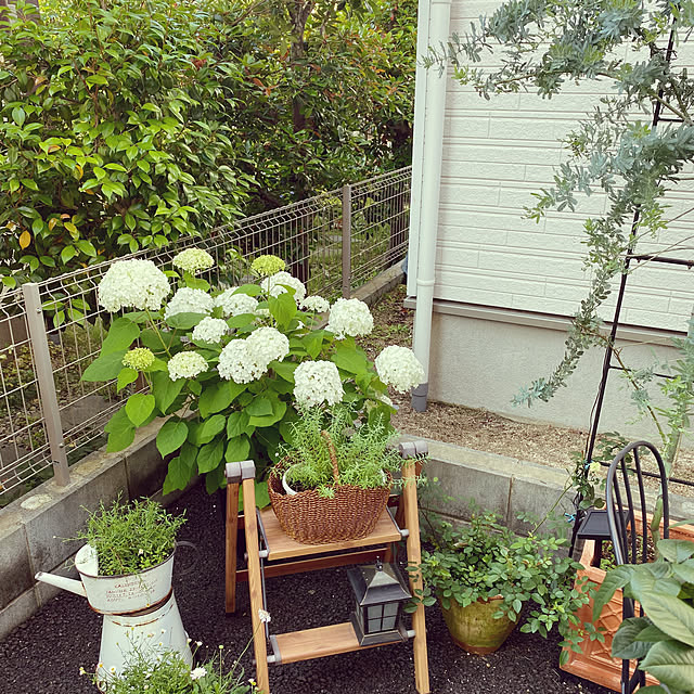 sariさんの部屋