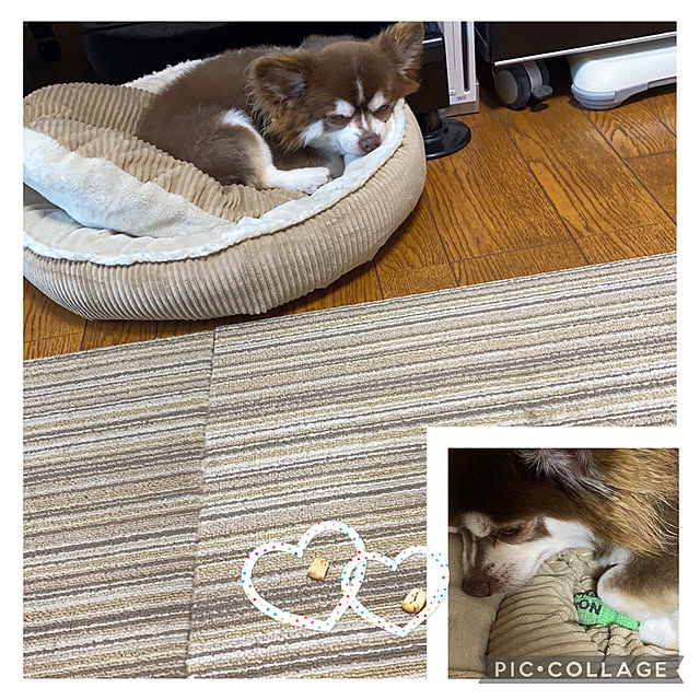 chIoeさんの実例写真
