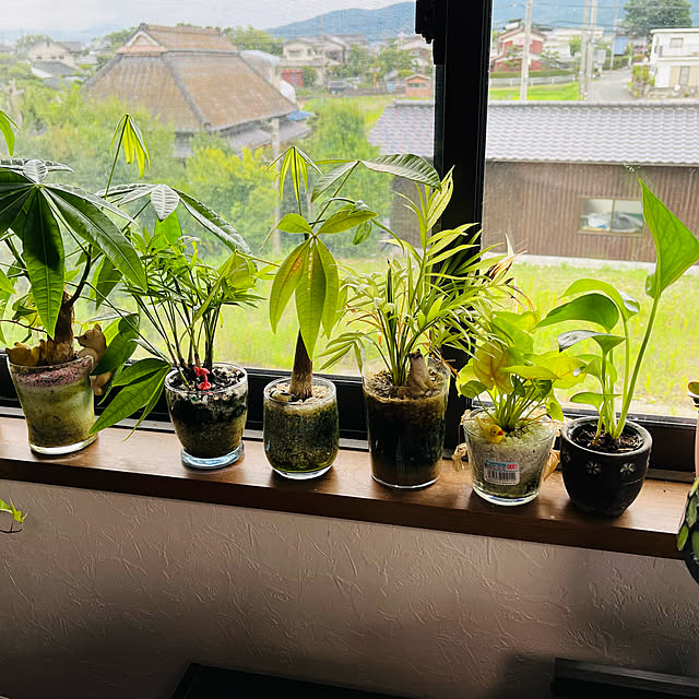 masaさんの実例写真