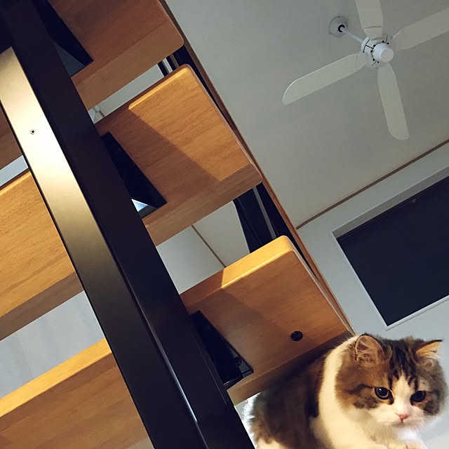 cotesanさんの実例写真