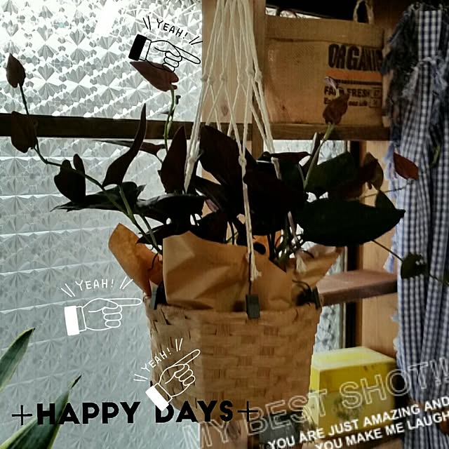 parsleymamaさんの実例写真