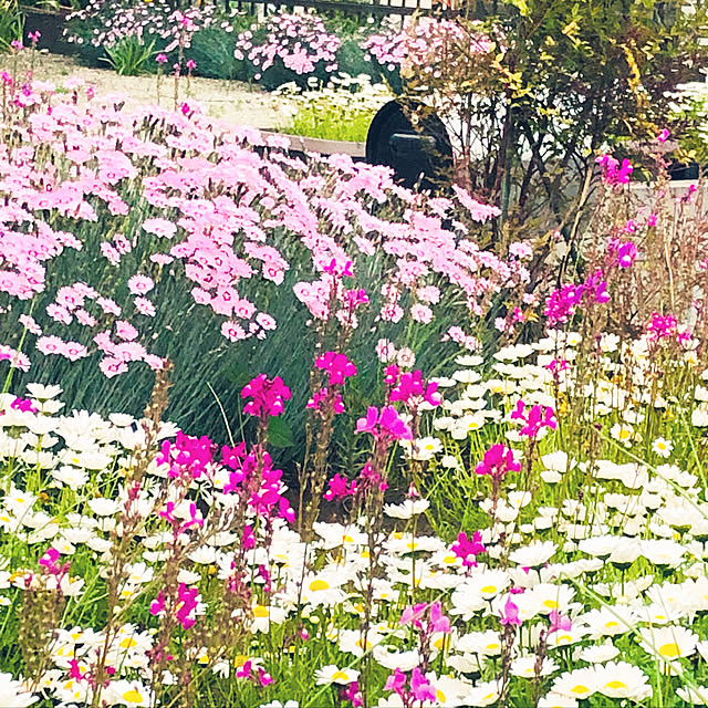 yukoさんの実例写真