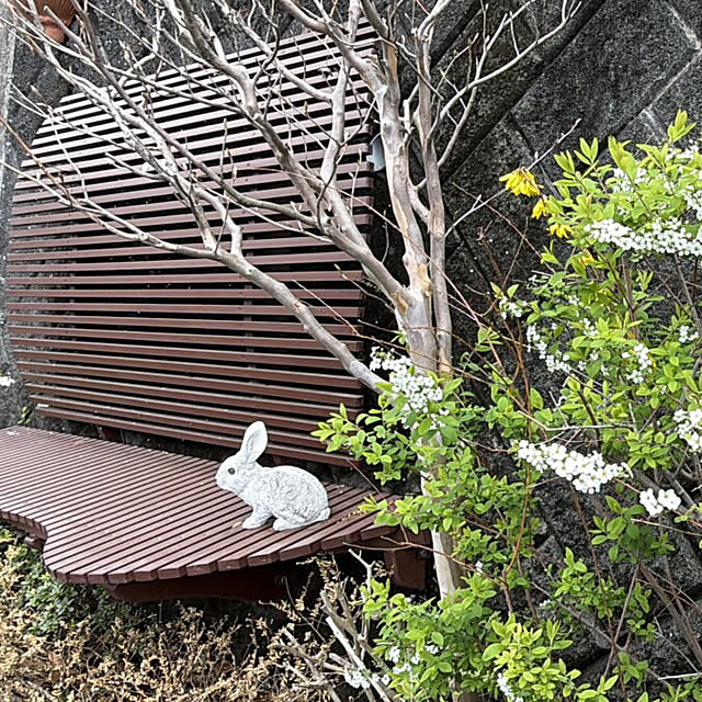 Yumiさんの実例写真