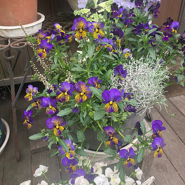 amiromikaさんの部屋