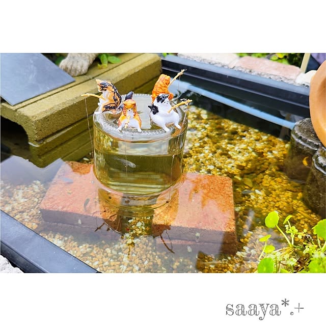 saayaさんの部屋