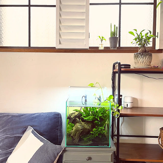 kuroさんの実例写真