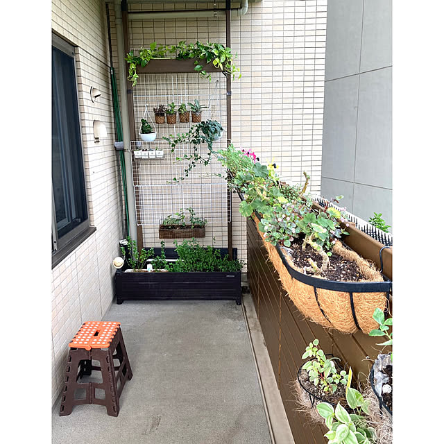 marukoさんの部屋