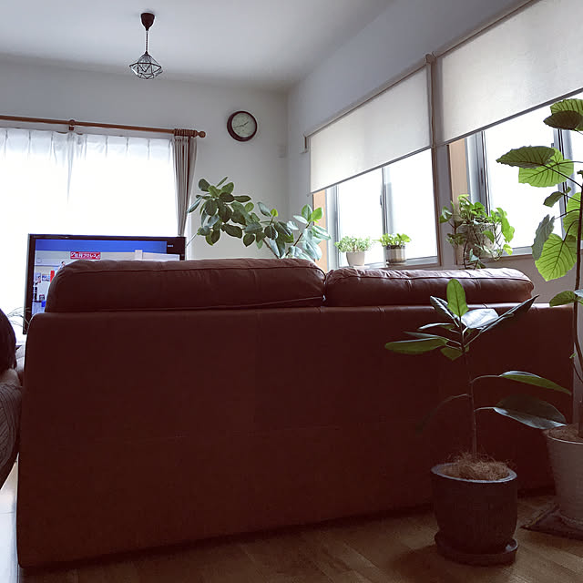 stratomanさんの実例写真