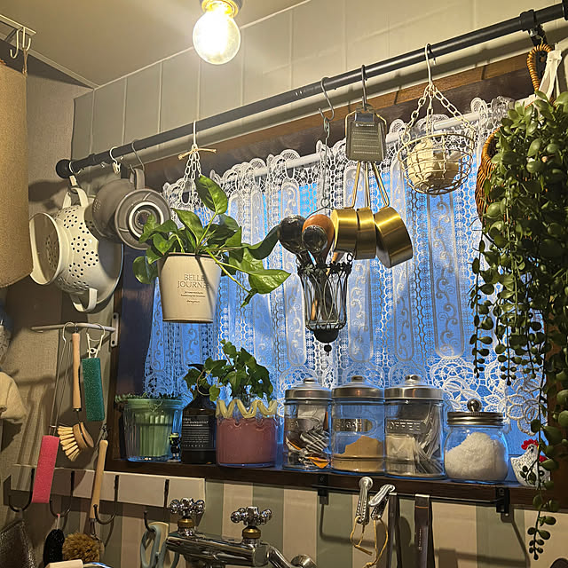 canetteさんの部屋