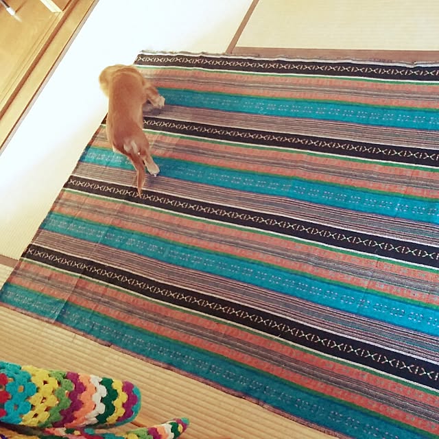 kanchanさんの実例写真
