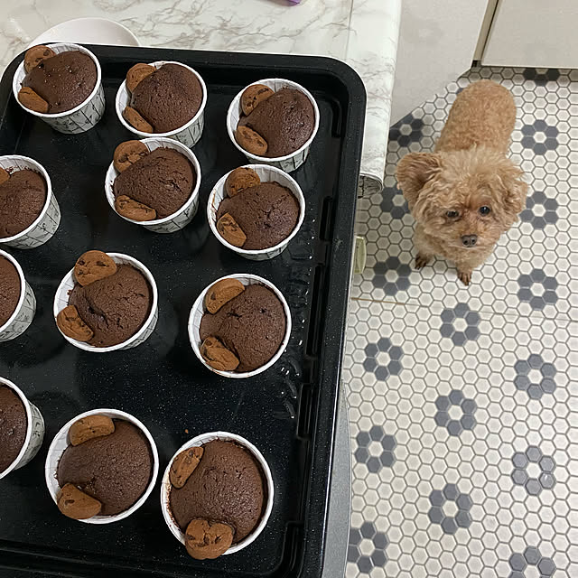 mococoさんの実例写真