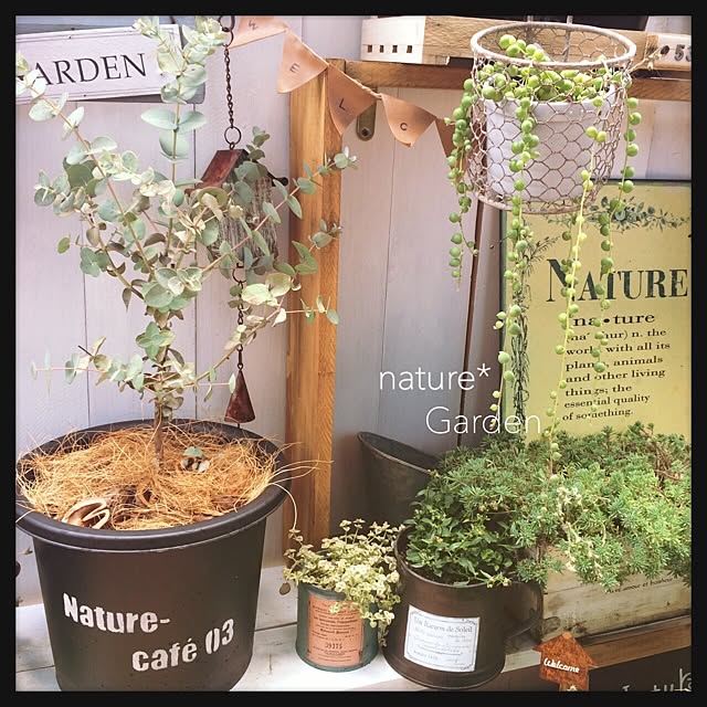 natureさんの実例写真