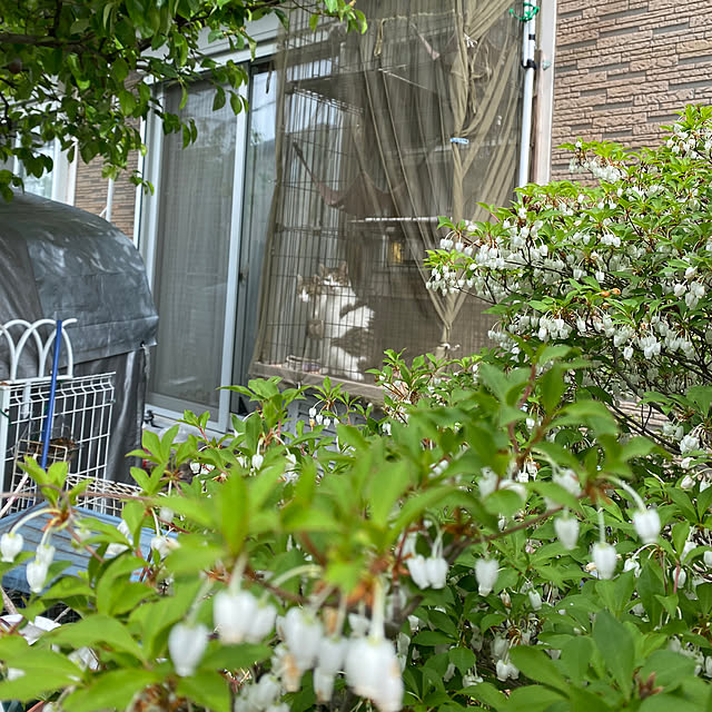 Lufuさんの部屋