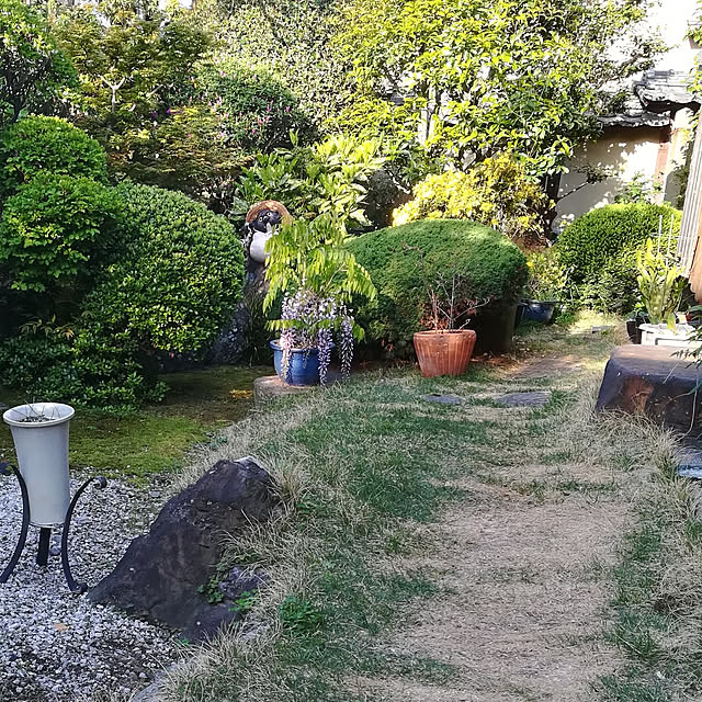 coco1204さんの実例写真