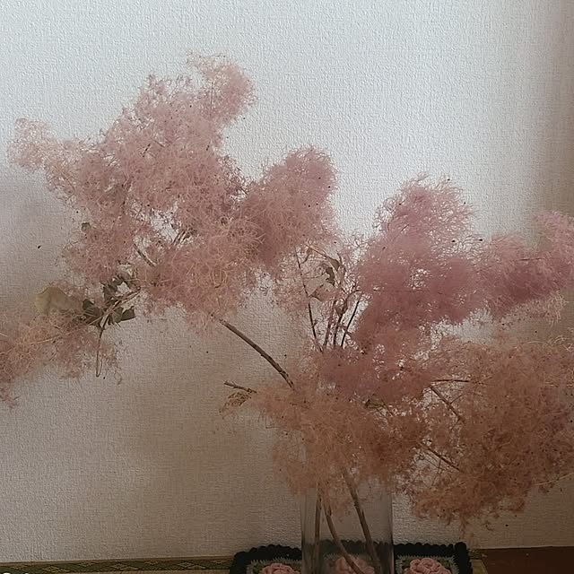monnさんの実例写真