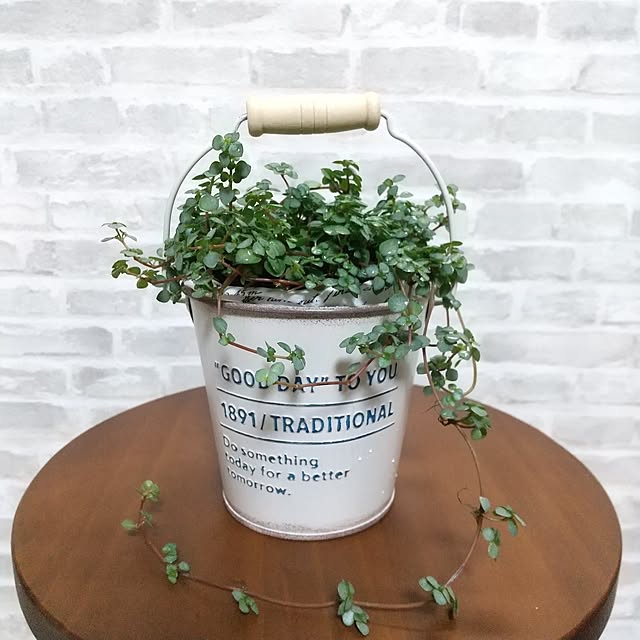 meiさんの実例写真