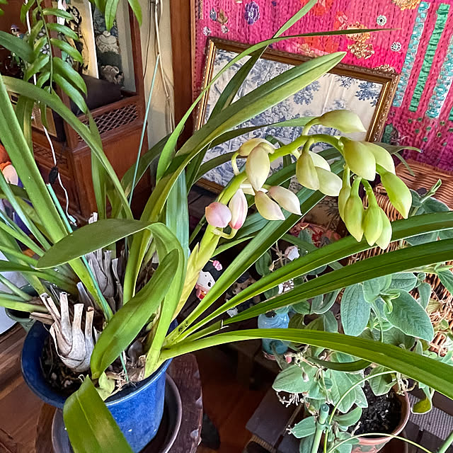 shin0719さんの部屋