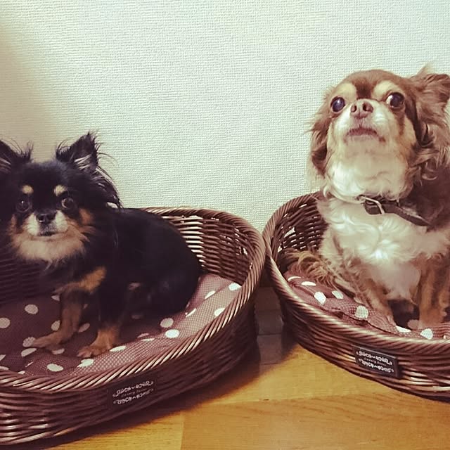 Maiさんの実例写真