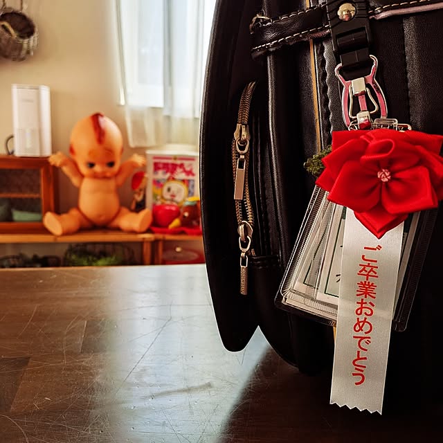 umeboshicyanさんの実例写真