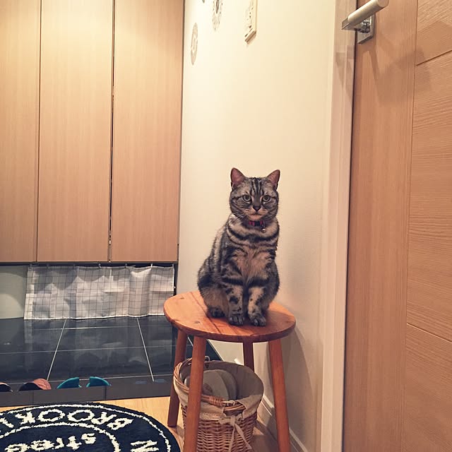 hiyupan88さんの実例写真
