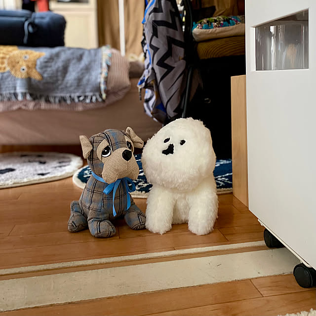 coroさんの実例写真