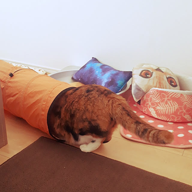 aiさんの実例写真