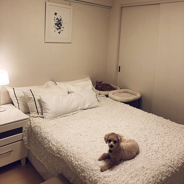 ichgoさんの実例写真