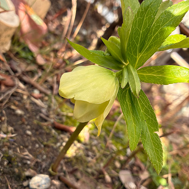ayayayayaさんの部屋