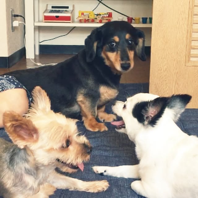 ohanaさんの実例写真