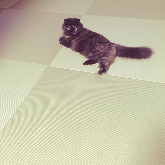 yucky_rioさんの実例写真