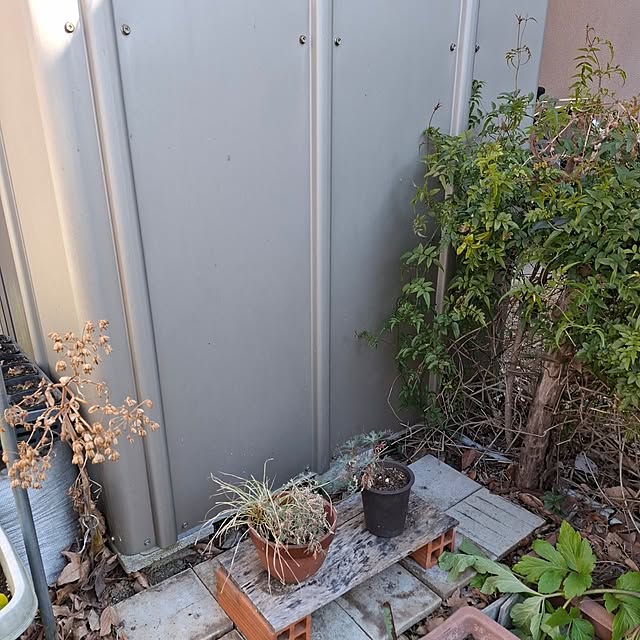 midoriさんの部屋