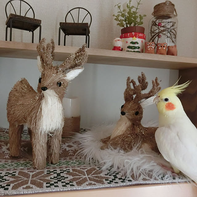 toratanさんの実例写真