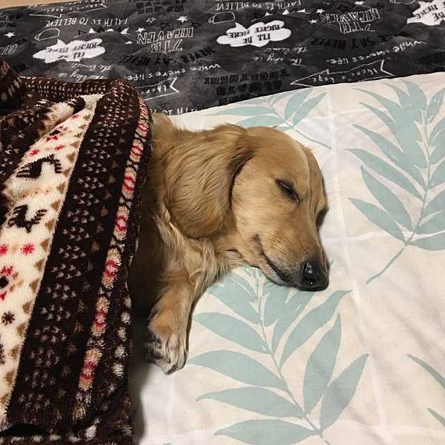 ssmami0723さんの実例写真
