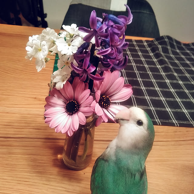 実例写真