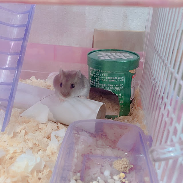 milkさんの実例写真