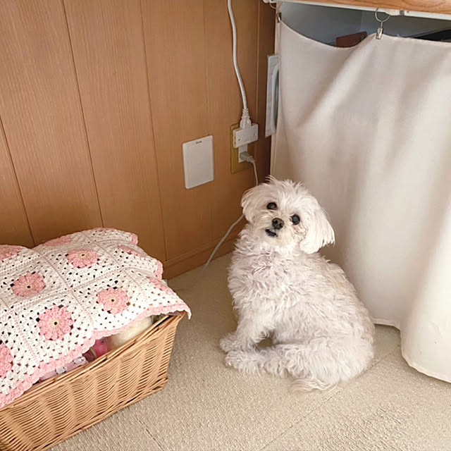 anzさんの実例写真
