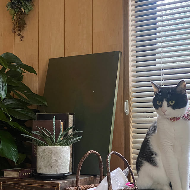 kikiさんの実例写真