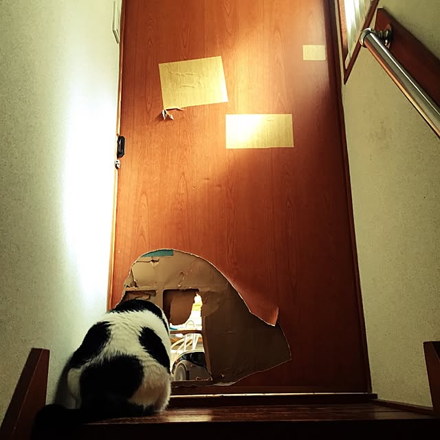 Fumiさんの実例写真