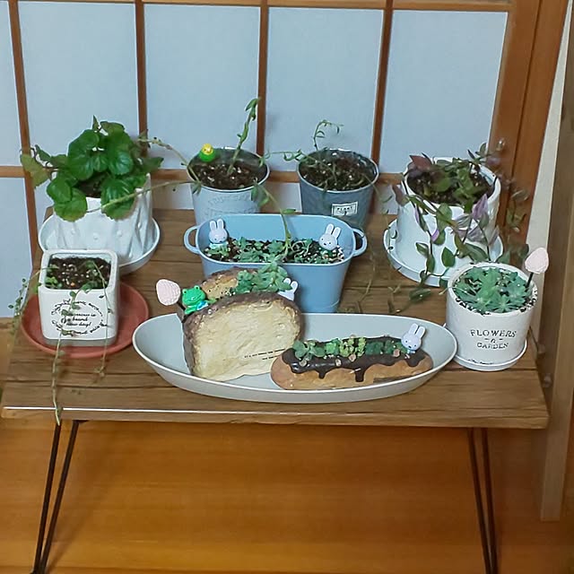 yumiyumiさんの部屋