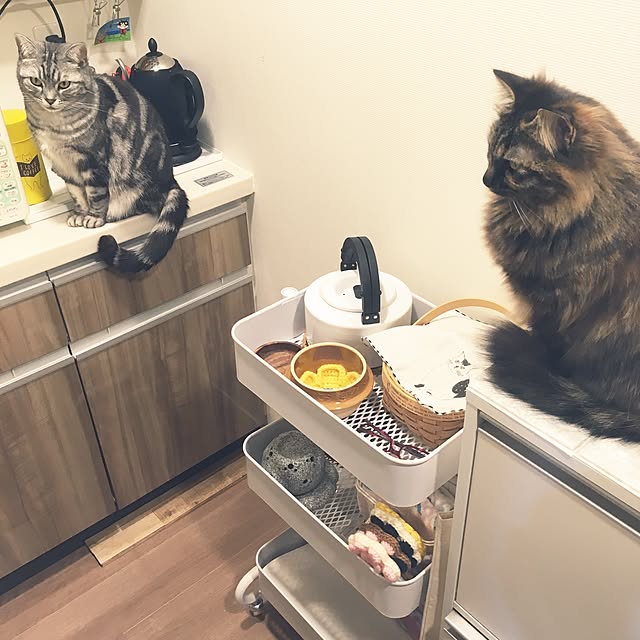 mikomaruさんの実例写真
