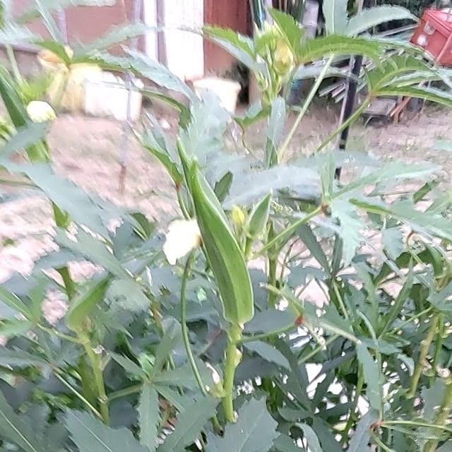 soccerkozouさんの部屋