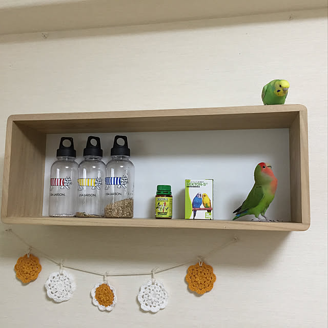 toratanさんの実例写真