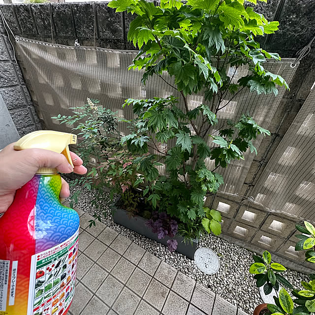 umai-bさんの実例写真