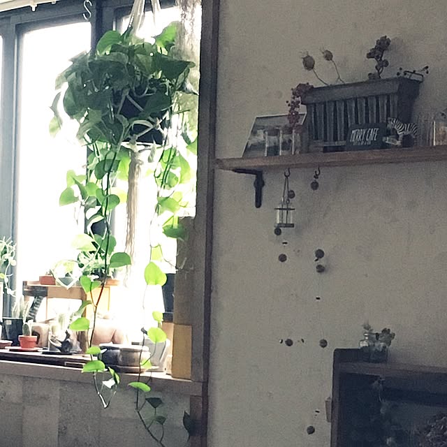 muuさんの実例写真