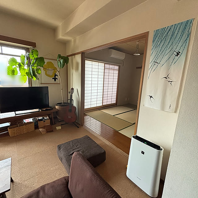 cottoncottonさんの部屋