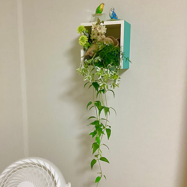 haruminさんの部屋