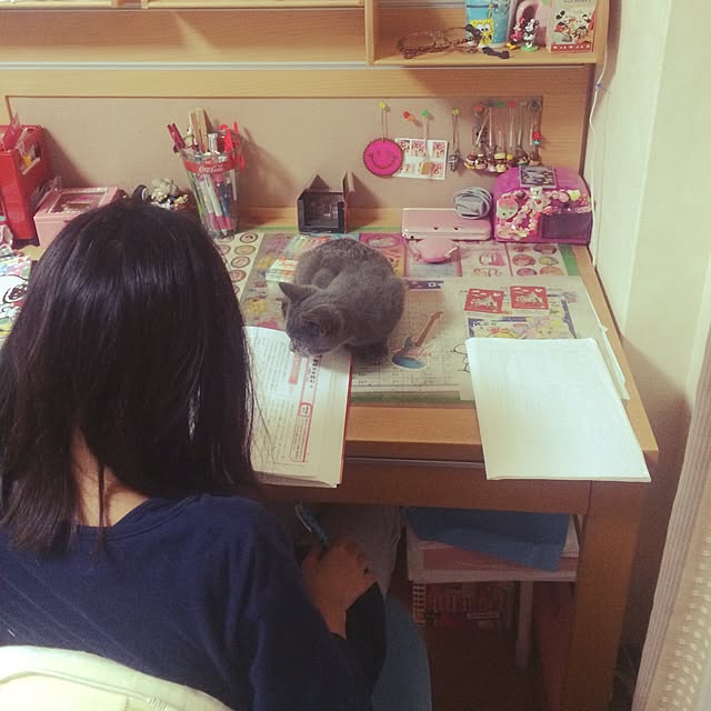 Shojiさんの実例写真