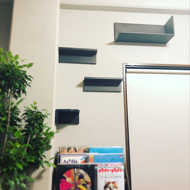 taimeinomeiさんの実例写真