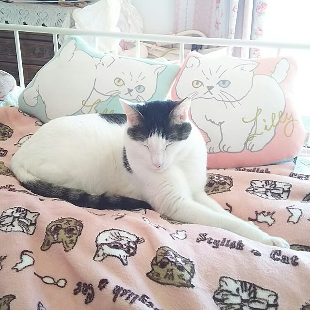 sakuraさんの実例写真