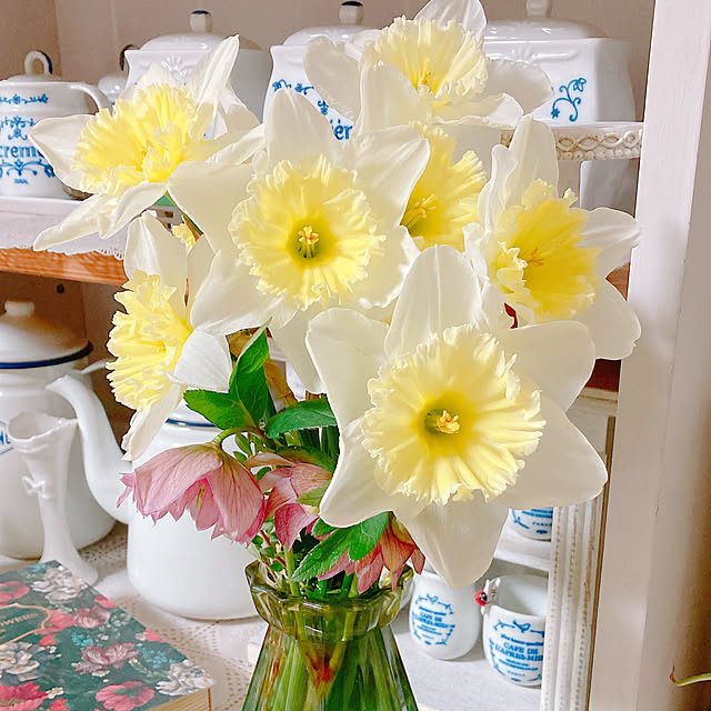 Hanakaさんの部屋
